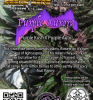 PurpleAurora_Back1-450x480.png