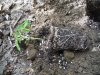 DSCF7788.JPG