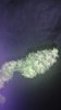 20160706_095206.jpg