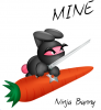 ninja bunny.PNG