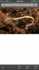 IMG_1166.PNG