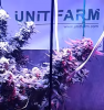 Grow Journal Updated #UFO80LED.png