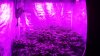 1- Blurple Zone.JPG