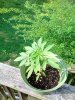 IMG_20180413_084328.jpg