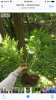 429A4099-A651-4FB2-A853-71BBAAEAA746.png