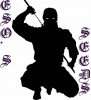 kisspng-shadow-of-the-ninja-japanese-martial-arts-ninjutsu-5af5801ae07157.jpg