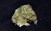 cherry-diesel-strain-marijuana-review-800x496.jpg