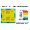 MIGRO-600-par-intensity-map-100-650x650_0.jpg