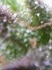 IMG_20190929_130025904.jpg