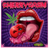 cherrygasm-01.png
