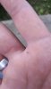 20191006_173212.jpg