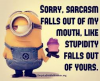 stupidity vs sarcasm.png