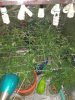 IMG_20200216_221828481.jpg