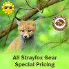 stray fox sale special pricing.jpg