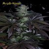 purple_wreck%20-cannabis.jpg