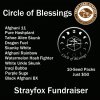 Circle of Blessings with price.jpg