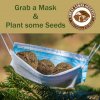 Seeds in a Mask.jpg