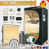 TSW 2000W.jpg