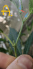 Screenshot_20200712-121728~2.png