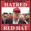 trump-hatred-red-hat-1200x1191.jpg
