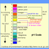 PH Scale.gif