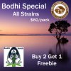 Bodhi Promo - With Price.jpg