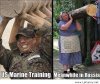 US-Marine-Training.jpg