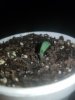 20201112_183626.jpg