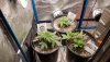 20201119_003727.jpg