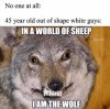 no-one-at-all-45-year-old-out-of-shape-white-guys-in-a-world-of-sheep-memes-things-iam-the-wol...jpg