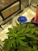 IMG_20201207_205523340.jpg