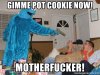 gimme-pot-cookie-now-motherfucker.jpg