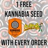 Kannabia Seeds IG.jpg