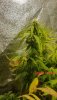 20201226_084027.jpg