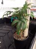 IMG_20201229_215924.jpg