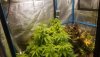 20201231_064834.jpg