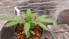 20210101_083616.jpg
