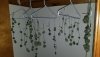 20201229_200803.jpg