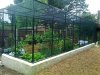 caged-garden-1 (1).jpg