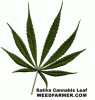 sativa_cannabis_leaf.gif