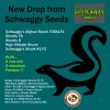 Schwaggy Drop 2-5.jpg