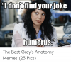 donttind-yourjoke-humerus-the-best-greys-anatomy-memes-23-pics-50521142.png