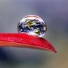 water-droplet-macro-photography-don-komarechka-10-1024x1024.jpg