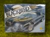 Blackbird1.JPG