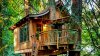 treehouse-deck-760x420.jpg