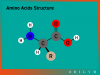 aminoacidsstructure.png