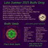 Bodhi Plant More Seeds - Late Summer Drop List.jpg