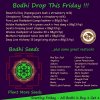 Bodhi Plant More Seeds - This Friday.jpg