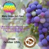 MMS Drop Moby Grape with date.jpg