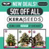 50% off ALL Kera Seeds.jpeg